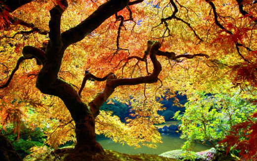 470752 (a): :1920x1200